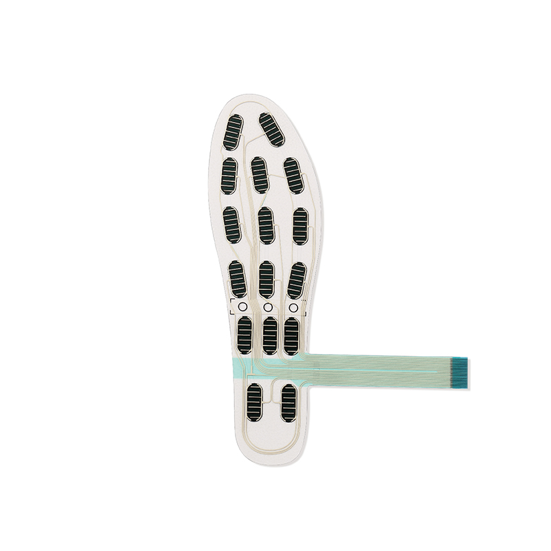 FS-INS-16Z Носимый интеллектуа – обзор и цена Smart Insole Pressure
